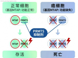 新靶点，新药物，能否为各类肺癌患者带来耐药解决方案？